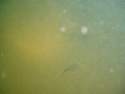 Photo Number 13