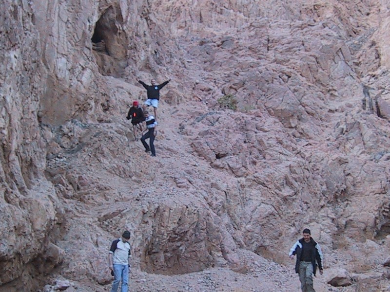 Photograph