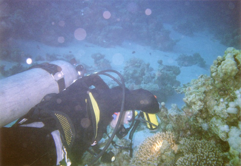 Photograph
