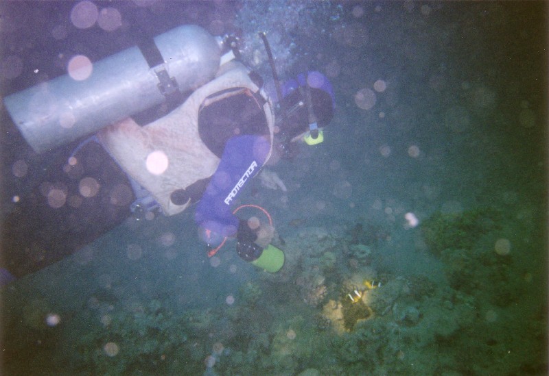 Photograph