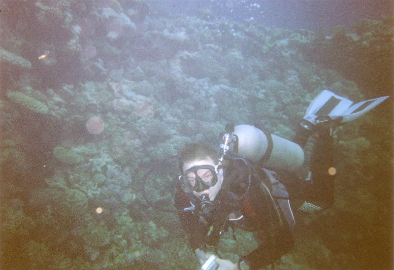 Photograph