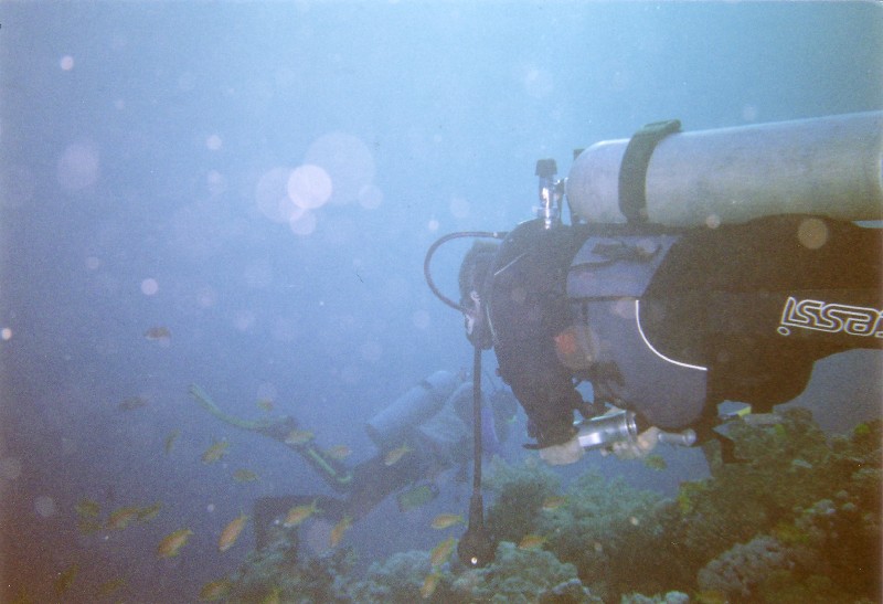 Photograph