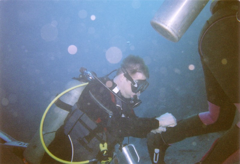 Photograph