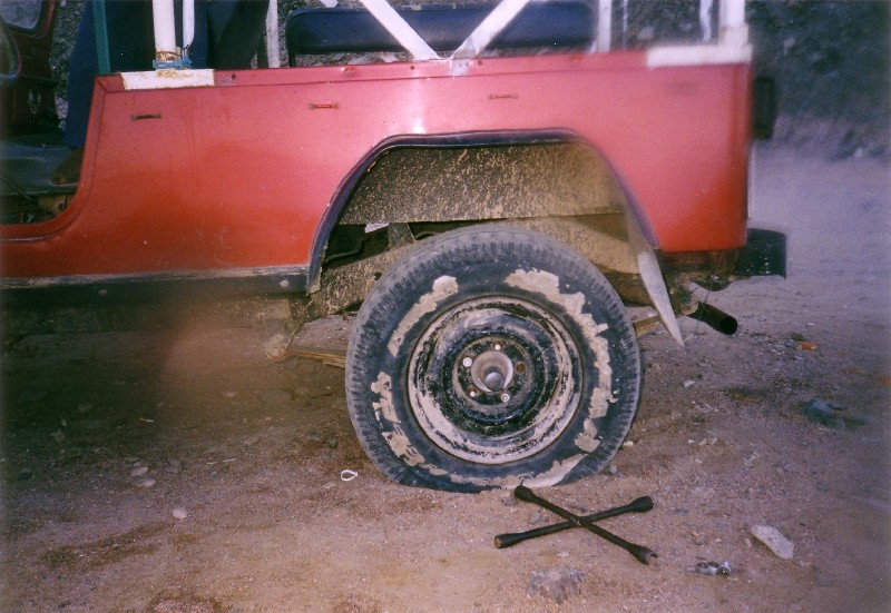 Photograph