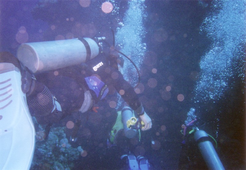 Photograph