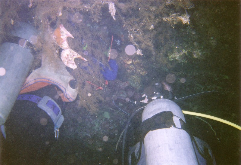 Photograph