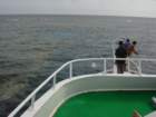 dsc00003_small.jpg