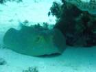 dsc00006_small.jpg