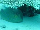 dsc00007_small.jpg