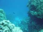 dsc00008_small.jpg