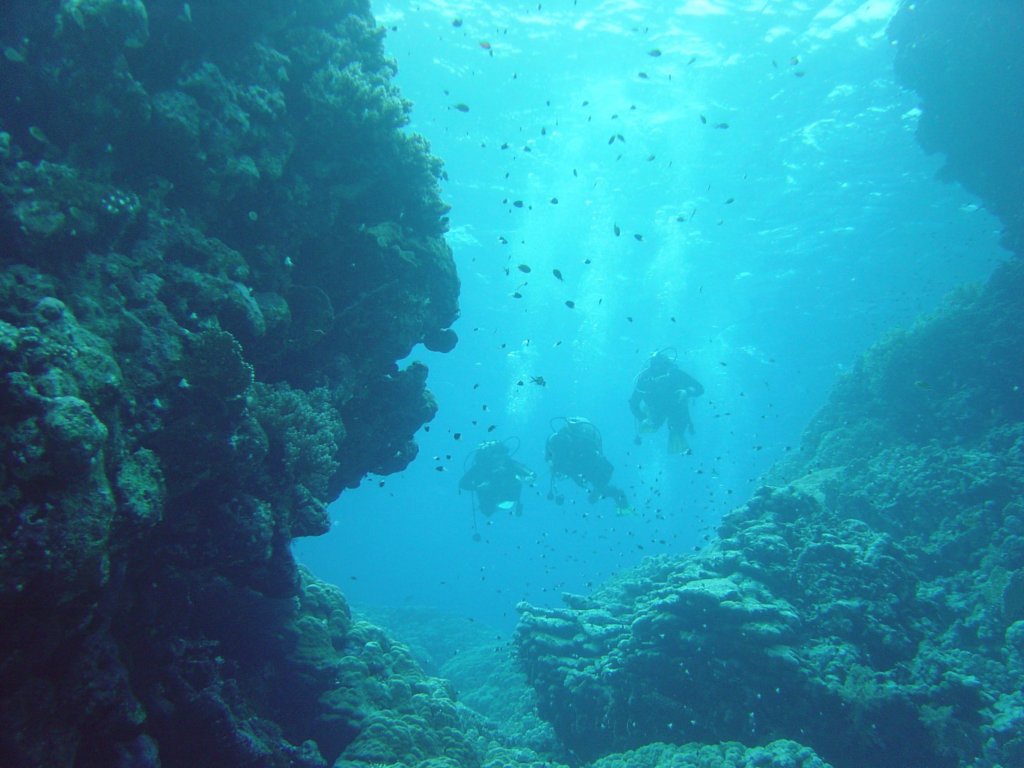 dsc00009.jpg