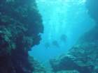 dsc00009_small.jpg