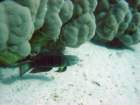 dsc00010_small.jpg