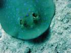 dsc00014_small.jpg