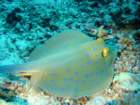 dsc00015_small.jpg