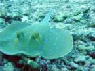 dsc00019_small.jpg