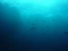 dsc00022_small.jpg