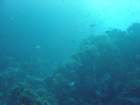 dsc00023_small.jpg