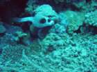 dsc00036_small.jpg