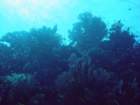 dsc00037_small.jpg