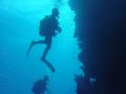 dsc00041_small.jpg