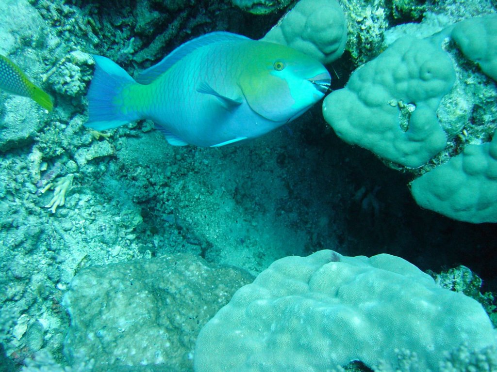 dsc00048.jpg