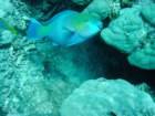 dsc00048_small.jpg