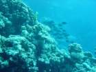 dsc00050_small.jpg