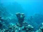 dsc00052_small.jpg
