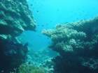 dsc00053_small.jpg