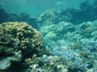 dsc00055_small.jpg