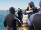 dsc00059_small.jpg