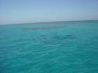 dsc00060_small.jpg