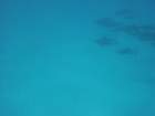 dsc00061_small.jpg