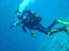 dsc00066_small.jpg
