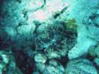 dsc00069_small.jpg