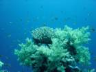 dsc00071_small.jpg