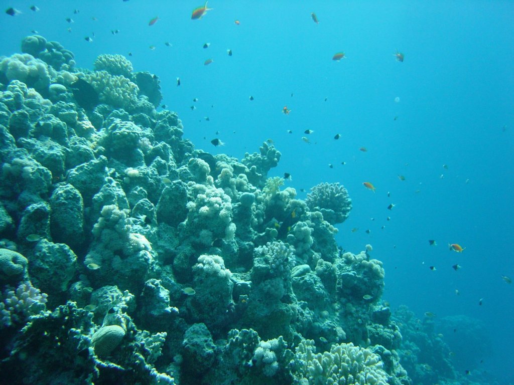 dsc00075.jpg