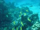 dsc00076_small.jpg