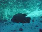 dsc00081_small.jpg
