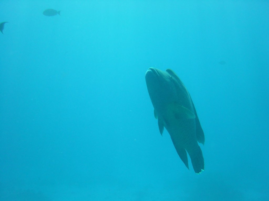 dsc00086.jpg