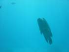 dsc00086_small.jpg