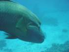dsc00089_small.jpg