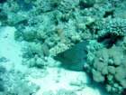 dsc00091_small.jpg