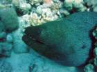 dsc00092_small.jpg