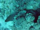 dsc00093_small.jpg