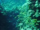 dsc00094_small.jpg