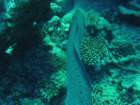 dsc00098_small.jpg