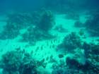 dsc00108_small.jpg