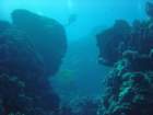 dsc00109_small.jpg